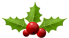 Christmas Greenery