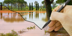 trends in private sector climate finance