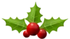Holly-remix-205098-e1607349432771